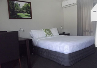 Superior Studio Suite accommodation hamilton